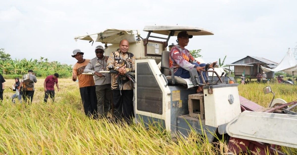 BRMP Papua Targetkan Swasembada Beras Melalui Pertanian Modern
