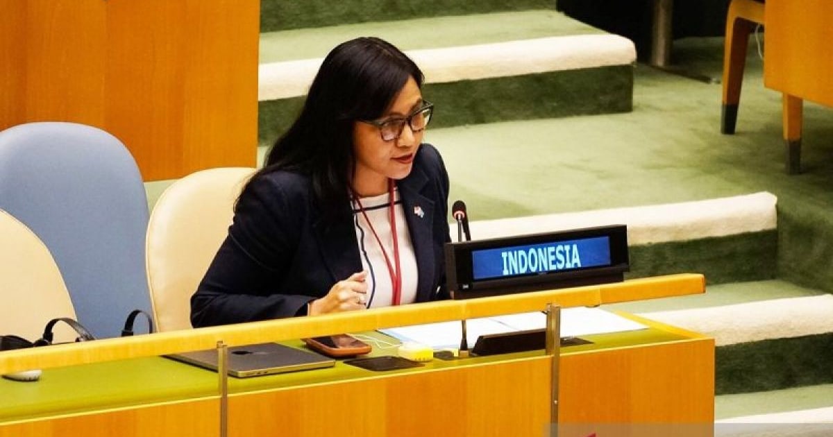 Indonesia Tolak Tudingan Dugaan Pelanggaran HAM Sistematis di Papua