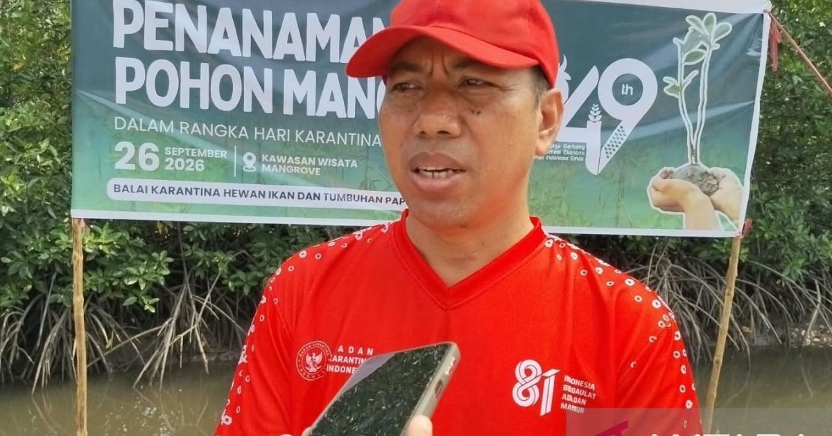 Karantina Papua Barat Daya Dampingi Pelaku Usaha Penuhi Syarat Ekspor