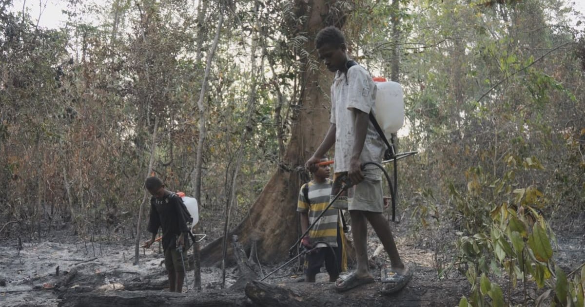 Kebakaran Kembali Melanda Kawasan Hutan Malaumkarta Sorong