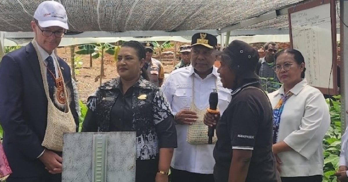 Kedubes Inggris dan Pemprov Papua Luncurkan Peta Jalan Kakao