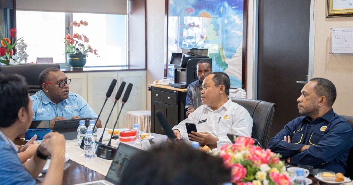 PLN Bersama DEN Bahas Implementasi PLTS 100 GW di Tanah Papua